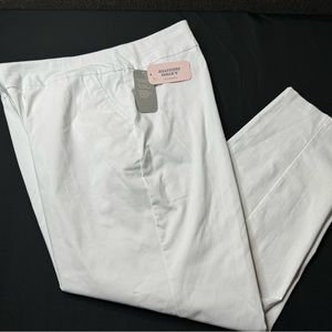 NWT Allison Dailey Pant Sz 22WR Stretchy Pull Up Straight Leg Tummy panel Pocket